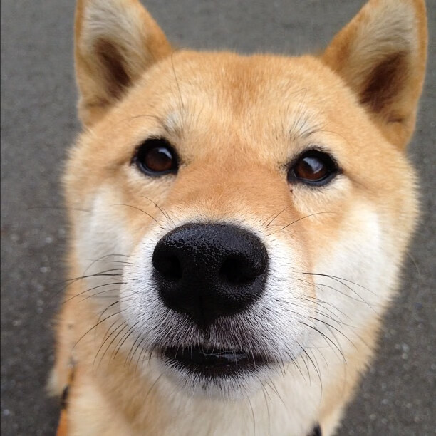 【三振绝杀】投手如何利用三振赢得比赛胜利？，三振集团原型是哪家公司